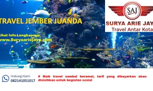 travel jember Juanda surabaya